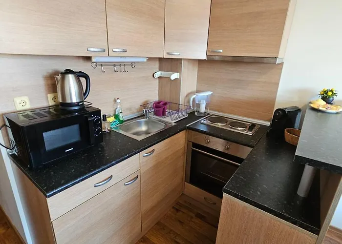 апатаменти за гости Sunshine и Glory 아파트 스베티 블라스